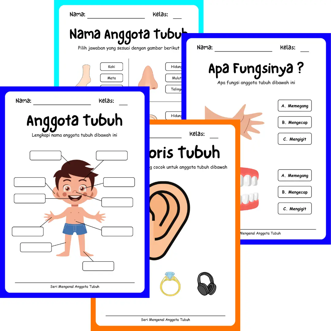 Seri Anggota Tubuh